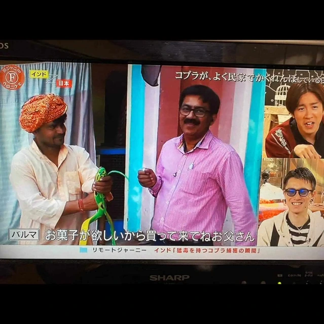 インドコーディネーター