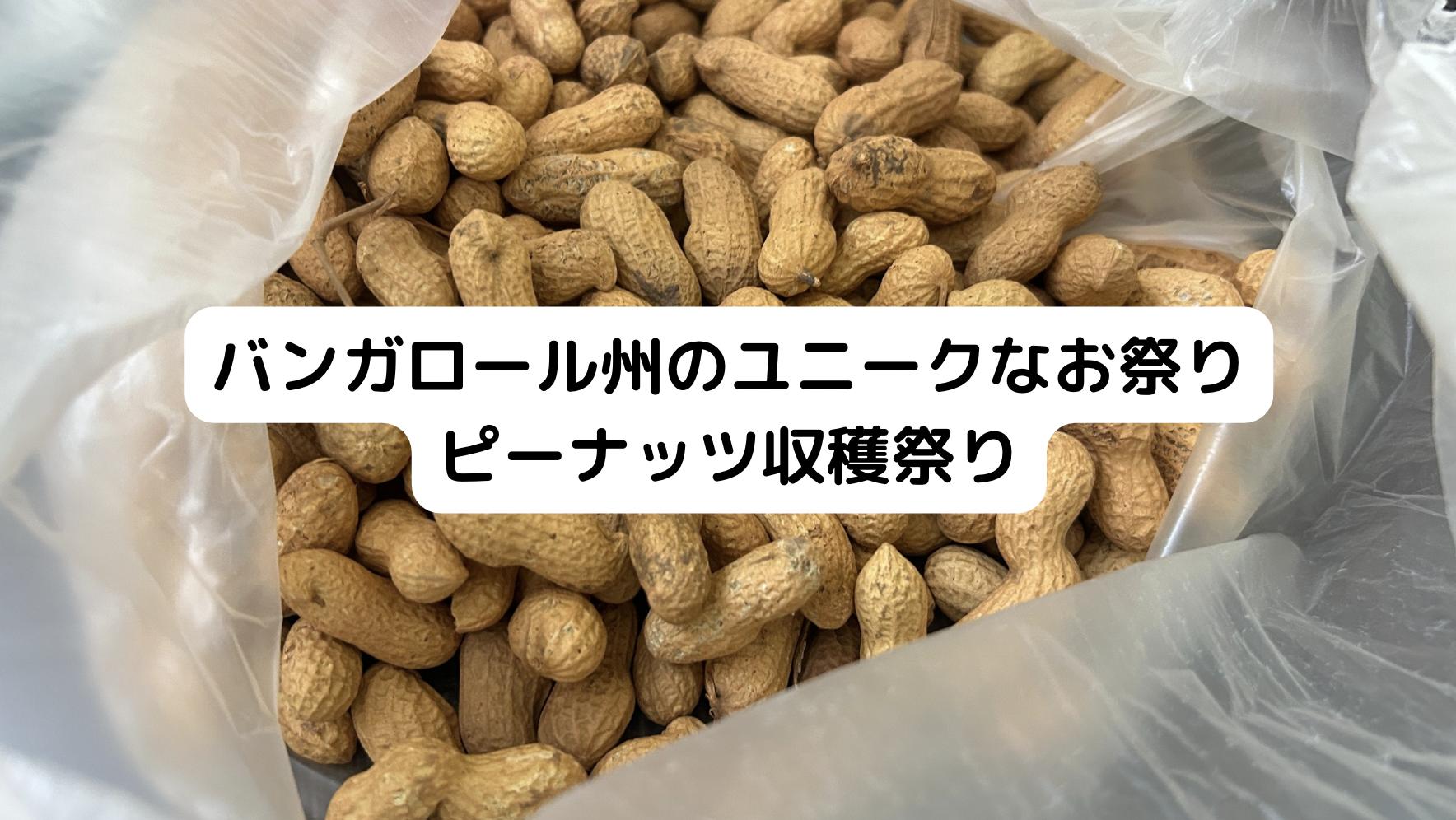 インドのピーナッツ