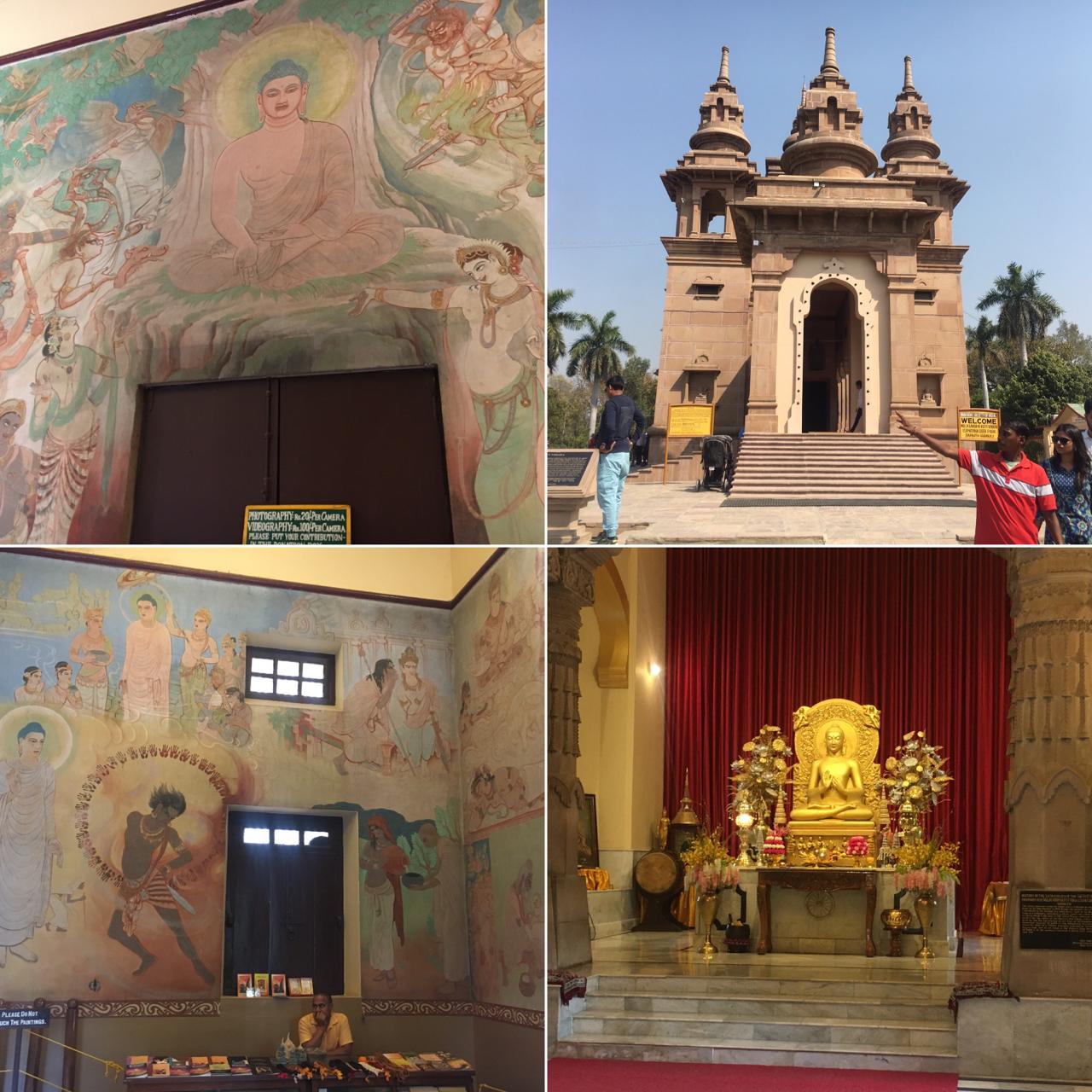 インドサールナートドローン