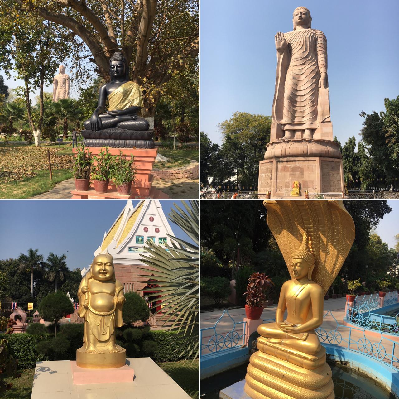 インドサールナート撮影機材