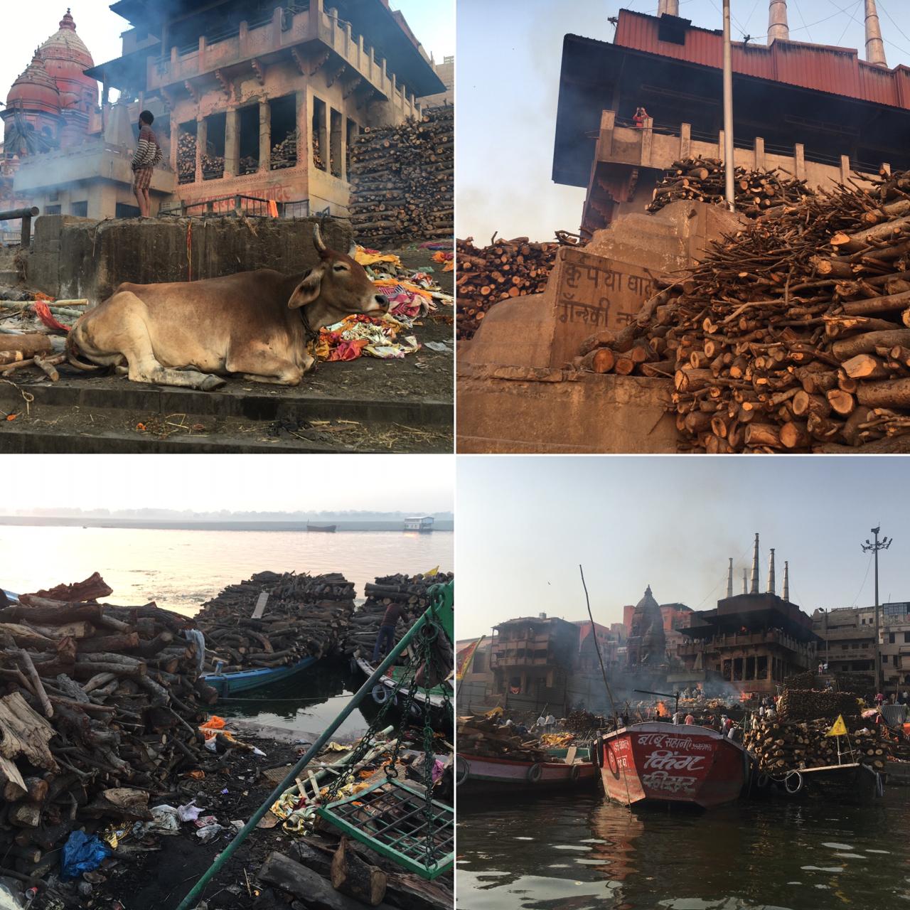 バラナシ機材レンタル