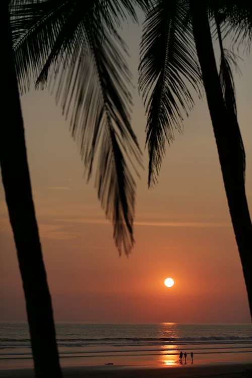 夕焼け